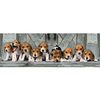 Clementoni - Beagles (1000 dielikov)