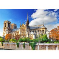 Bluebird - Cathédrale Notre-Dame de Paris (1000 dielikov)