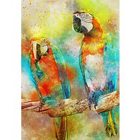 Bluebird - Parrots (1000 dielikov)