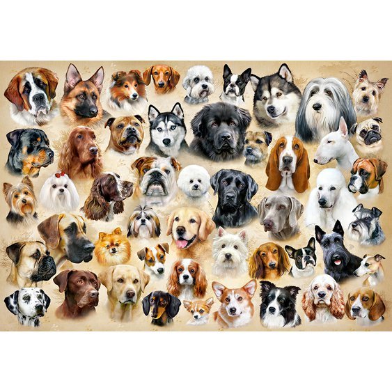 collage-with-dogs-jigsaw-puzzle-1500-pieces.87375-1.fs.jpg