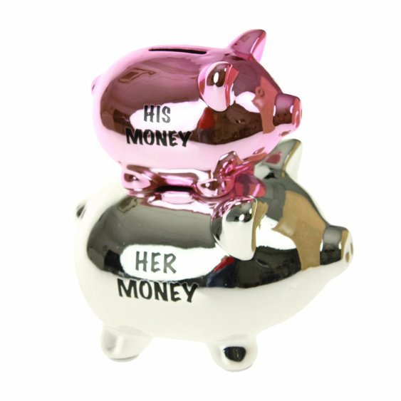 0040669_united-entertainment_united-entertainment-his-her-money-bank-piggy-silver-pink_8718274549485_1000.jpeg