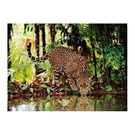 jigsaw-puzzle-2000-pieces-the-leopard.6330-1.fs.jpg