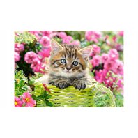 Castorland - Kitten in Flower Garden (500 dielikov)