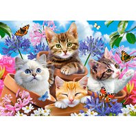 Castorland - Kittens with Flowers (500 dielikov)