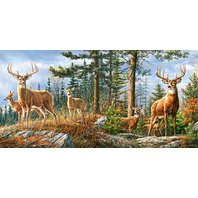 Castorland - Royal Deer Family (4000 dielikov)