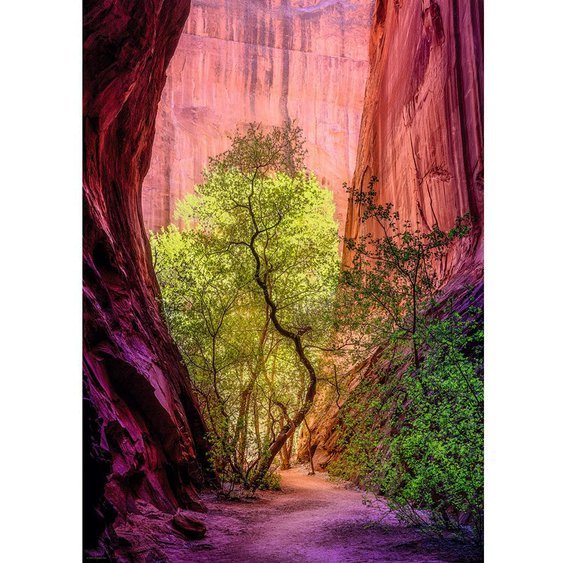 singing-canyon-jigsaw-puzzle-1000-pieces.87295-1.fs.jpg