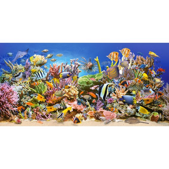 the-underwater-life-jigsaw-puzzle-4000-pieces.40917-1.fs.jpg