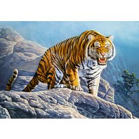 Castorland - Tiger on the Rock (500 dielikov)