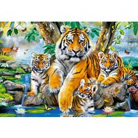 Castorland - Tigers by the Stream (1000 dielikov)